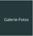 Galerie-Fotos